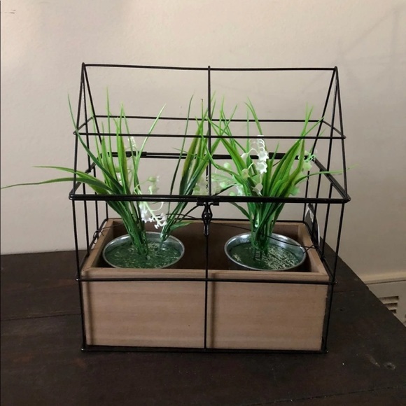 Other - Plant Display